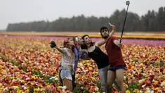 Warga Israel berpose bersama di Taman Bunga Ranunculus di Kibbutz, Nir Yitzhak, di perbatasan Israel-Jalur Gaza (12/4). Taman Bunga Ranunculus ramai didatangi warga saat hari liburan Yahudi Pesach (Paskah). (AFP PHOTO/MENAHEM KAHANA)