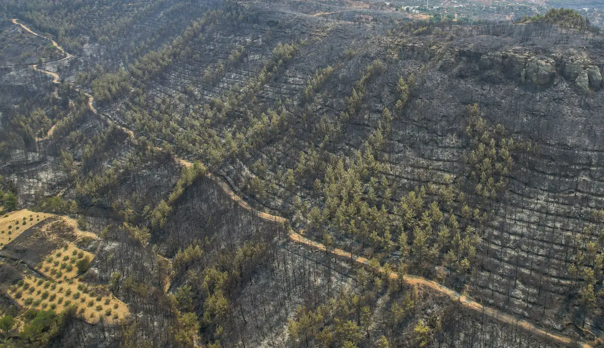 Foto udara menunjukkan kerusakan usai kebakaran hutan di dekat kota pesisir Mediterania Manavgat, Antalya, Turki, Jumat (30/7/2021). Presiden Recep Tayyip Erdogan, mengatakan petugas masih menangani kebakaran hutan di 14 lokasi di enam provinsi di wilayah Mediterania Turki. (AP Photo)