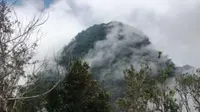 Gunung Ile Wukoh di Flores NTT, terlihat dari lereng Lewotobi. (Dok:&nbsp;https://www.gunungbagging.com/ili-wukoh/)