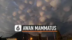 THUMBNAIL AWAN