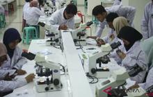 Kemdiktisaintek Atur Status Dosen Tetap Dokter Klinis, Ini Mekanismenya