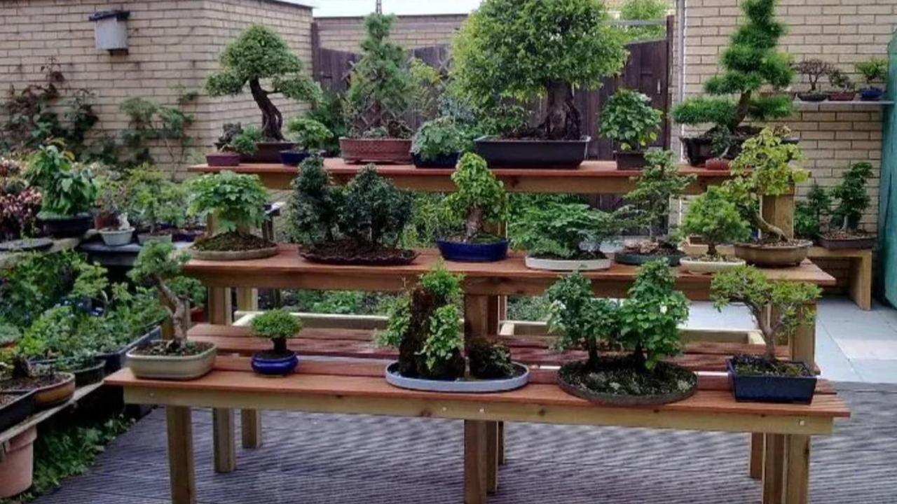 15 Inspirasi taman kering dalam rumah dengan berbagai tema