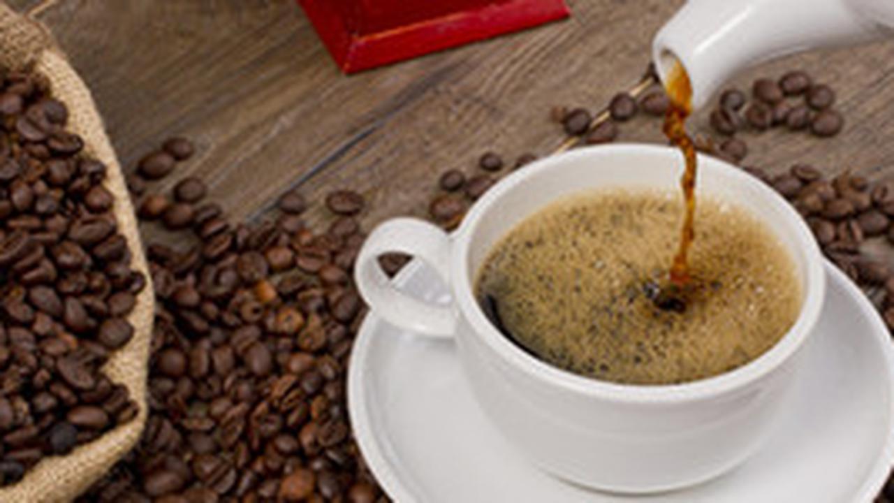 Kopi Luwak: Inovasi dari Perjuangan Petani Lokal Melawan Ketidakadilan Kolonial