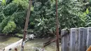 Suasana proyek tiang pancang turap aliran anak kali ciliwung yang terbengkalai di Jalan Gudang Air, Jakarta, Selasa (12/2).Pengerjaan yang tak kunjung selesai menyebabkan jalan hadidji dan sekitar kerap banjir jika hujan deras.(Liputan6.com/Faizal Fanani)