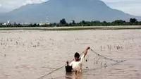 Seorang warga menjaring ikan di sawah yang tergenang banjir di Beji, Bangil, Pasuruan, Jatim, Rabu (13/1). Banjir yang melanda Bangil sejak Sabtu (9/1) hingga saat ini belum surut.(Antara)