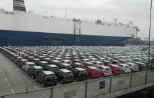 Penjualan Bulan Oktober 2024 Meningkat, Toyota Tetap Memimpin Pasar Otomotif di Indonesia
