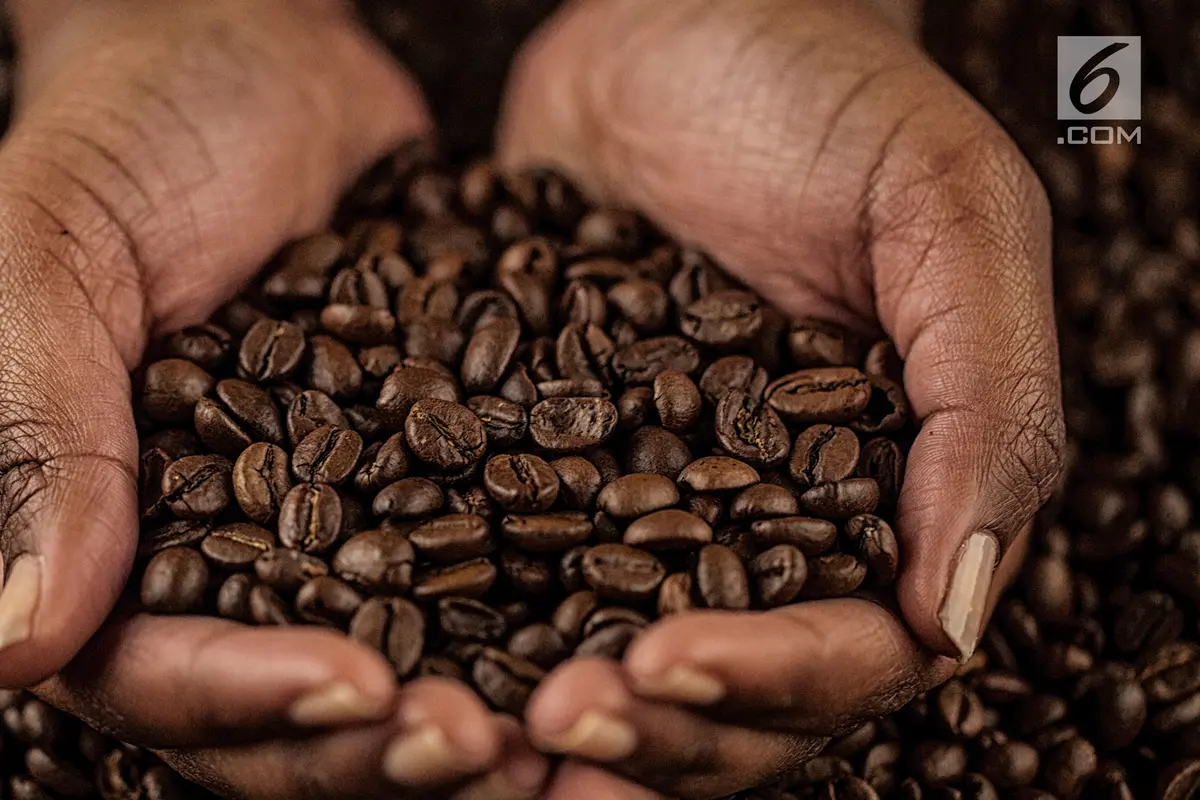 Biji Kopi