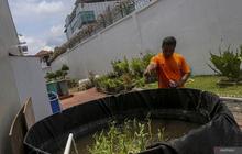 Tahukah Anda? Program Pemberdayaan Napi Jadi Kunci Ketahanan Pangan Nasional