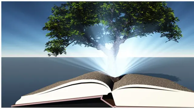 Foto : copyright listverse.com