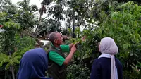 15 Paket Tur Gastronomi Hasil Kurasi Kemenpar, Salah Satunya Wisata Kopi Lokal di Danau Toba