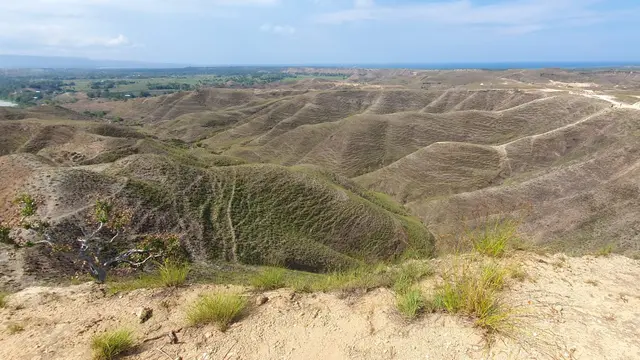 Lansekap alam Sumba cocok untuk peternakan hingga wisata. (Foto: Liputan6.com/Unsoed)
