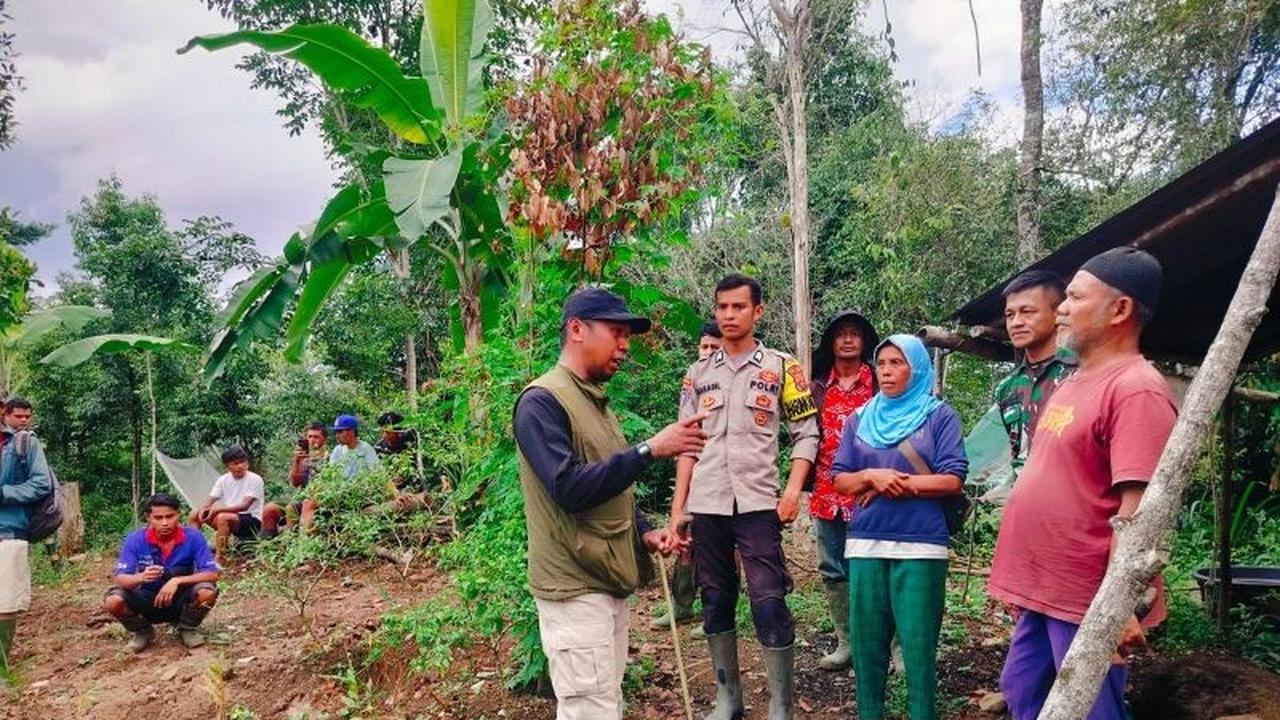 Tim BKSDA Lakukan Evakuasi Harimau Agam Setelah Warga Bertemu Satwa Liar di Kebun