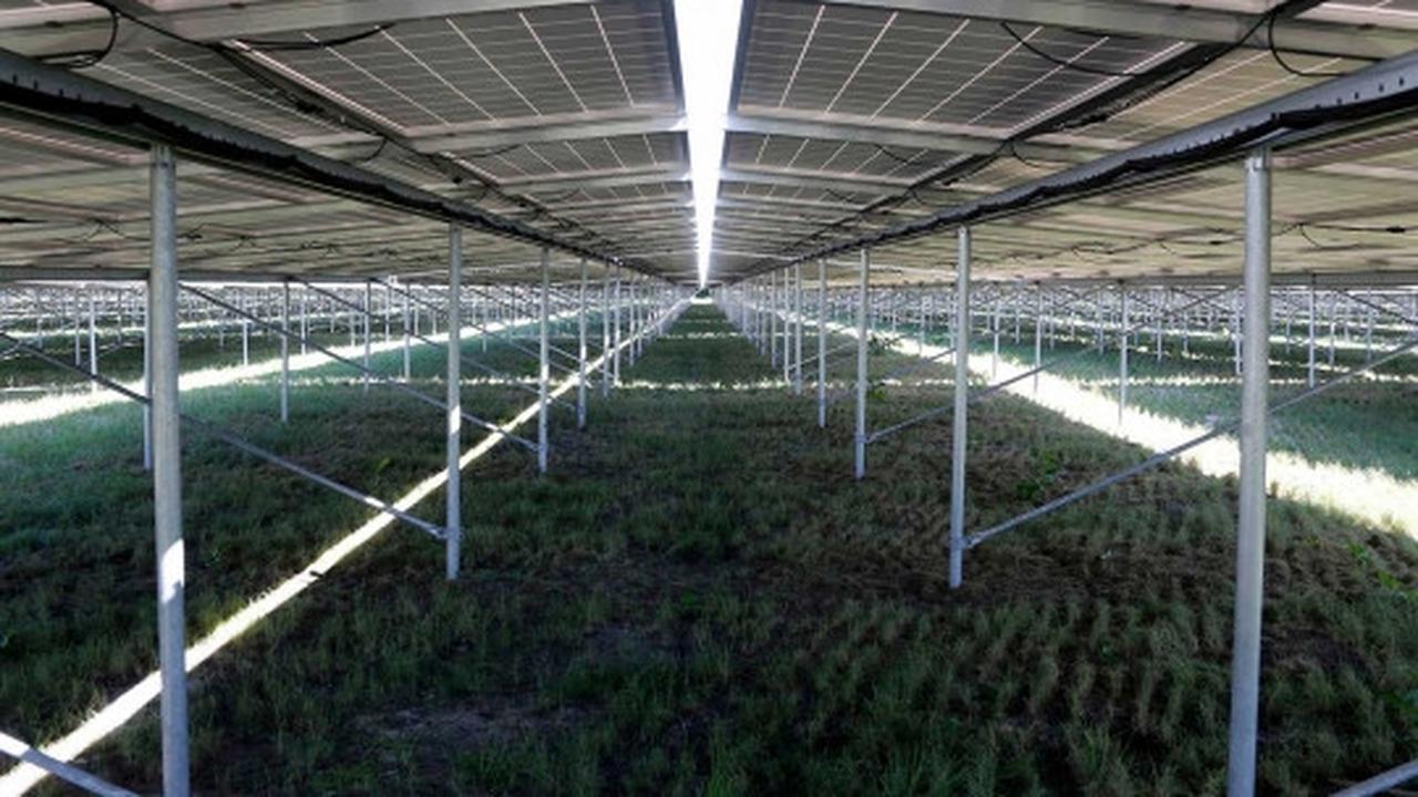 Melihat sumber energi alternatif terbesar di Eropa