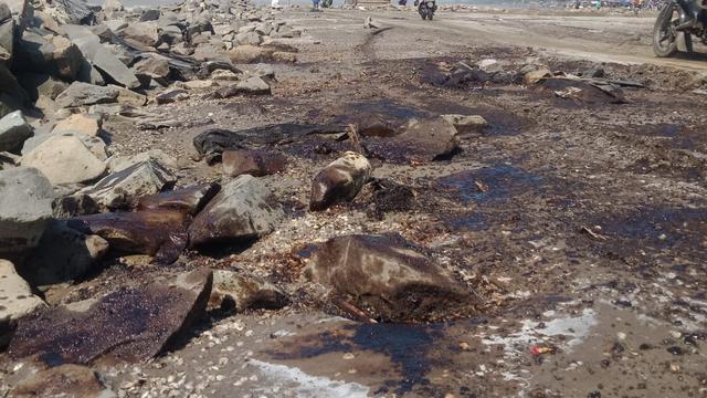 Tumpahan minyak Pertamina di Karawang