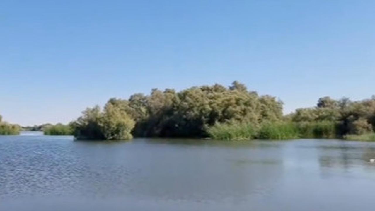 Penampakan Danau Misterius di Pinggiran Kota Mekkah yang Jarang Orang Tahu, Banyak Pohon Tumbuh Subur