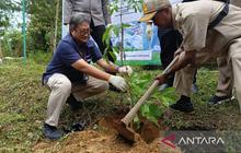 Tahukah Anda? Kebun Raya Tua Tunu Kembangkan Malapari Biodiesel, Solusi Energi Ramah Lingkungan!