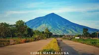 Pemandangan indah Gunung Cikuray di Garut, Jawa Barat. (Dok: Instagram @mata_allena)