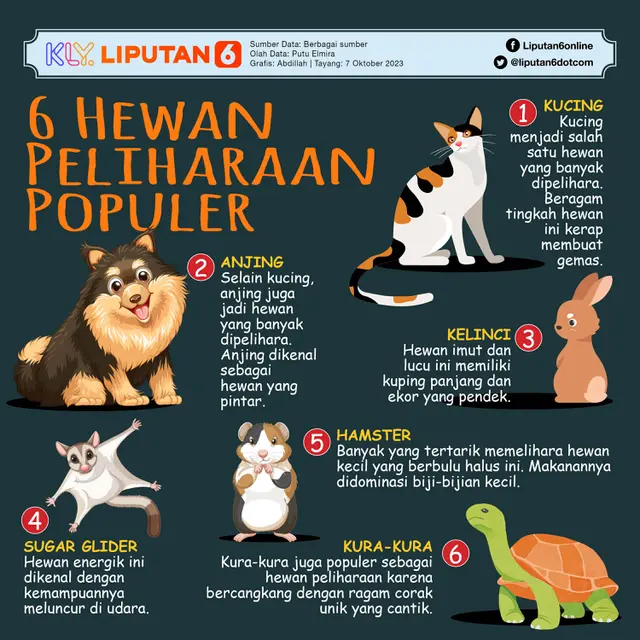 <p>Infografis 6 Hewan Peliharaan Populer (Liputan6.com/Abdillah)</p>