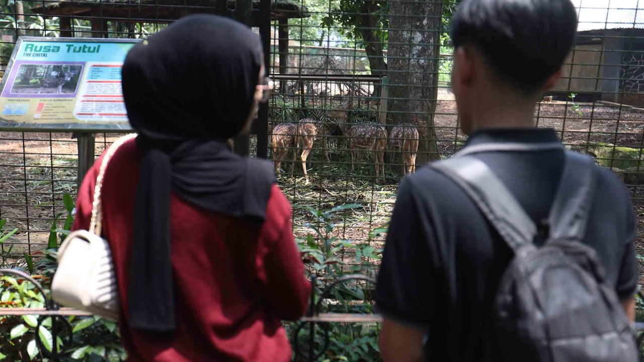 FOTO: Peringatan Maulid Nabi, Ragunan Diserbu Pengunjung