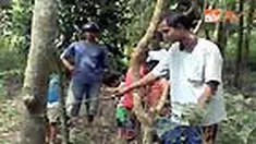 liputan6