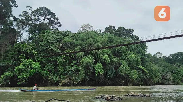 Hutan Adat Guguk