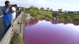 Ilmuwan juga memperingatkan agar siapapun tidak memasuki air atau meminumnya. (Matthew Thayer/The Maui News via AP)