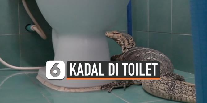 VIDEO: Bikin Shock, Kadal Muncul di Toilet Rumah Warga