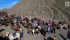 Puluhan joki berkuda menunggu wisatawan yang akan turun dari Gunung Bromo di Taman Nasional Bromo Tengger Semeru, Jawa Timur, Sabtu (4/11). Joki akan mendampingi wisatawan keliling kawasan Gunung Bromo. (Liputan6.com/Fery Pradolo)