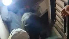 Detik-detik Warga Evakuasi Anak dari Reruntuhan Gempa di Manggarai
