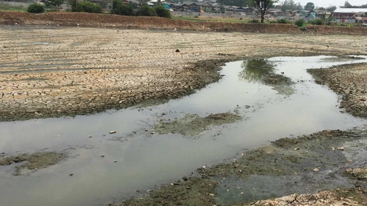Kondisi Waduk Ria Rio yang kering kerontang akibat kemarau panjang