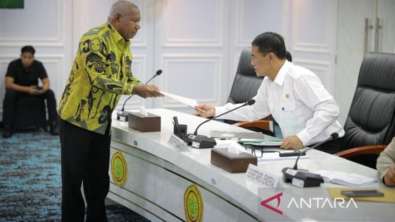 Pemprov Papua Barat Targetkan Pengembangan Kakao 68.734 Hektare hingga 2027