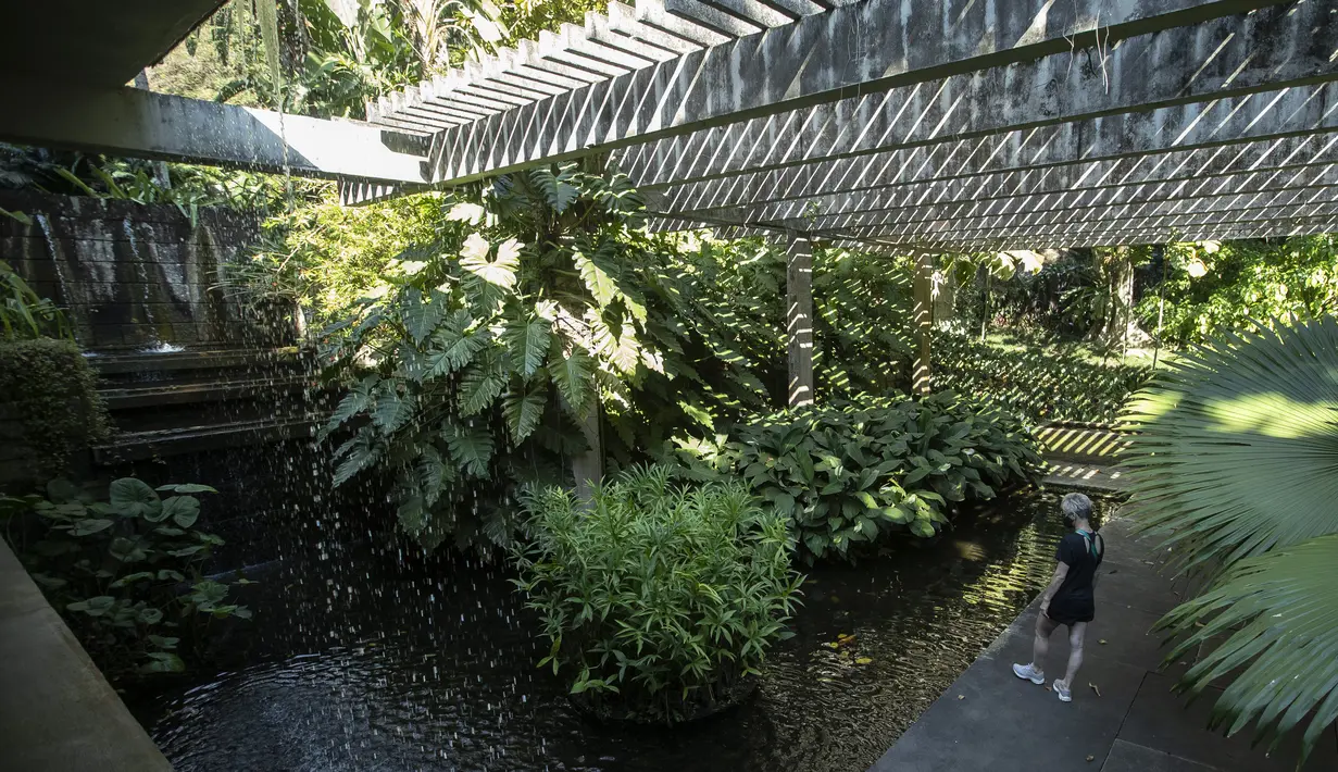 Seorang pengunjung berjalan di taman selama tur ke situs Roberto Burle Marx, yang masuk kedalam daftar situs warisan dunia UNESCO, di Rio de Janeiro, Brasil, pada 27 Juli 2021. Lokasi ini dianggap sebagai laboratorium untuk eksperimen botani dan lanskap. (AP Photo/Mario Lobao)