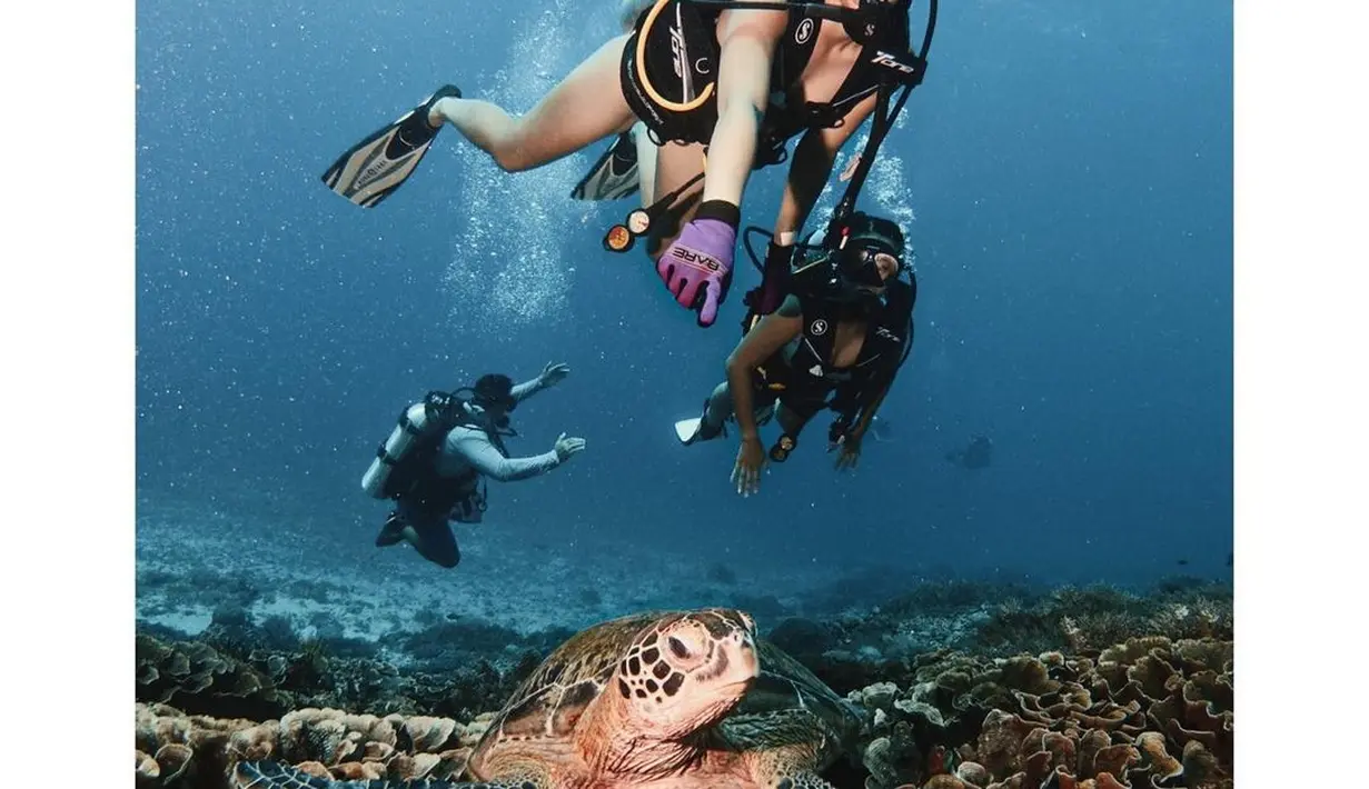 Nia Ramadhani saat menyelam di Labuan Bajo. Dia bertemu dengan seekor penyu. (Foto: Instagram/ ramadhaniabakrie)