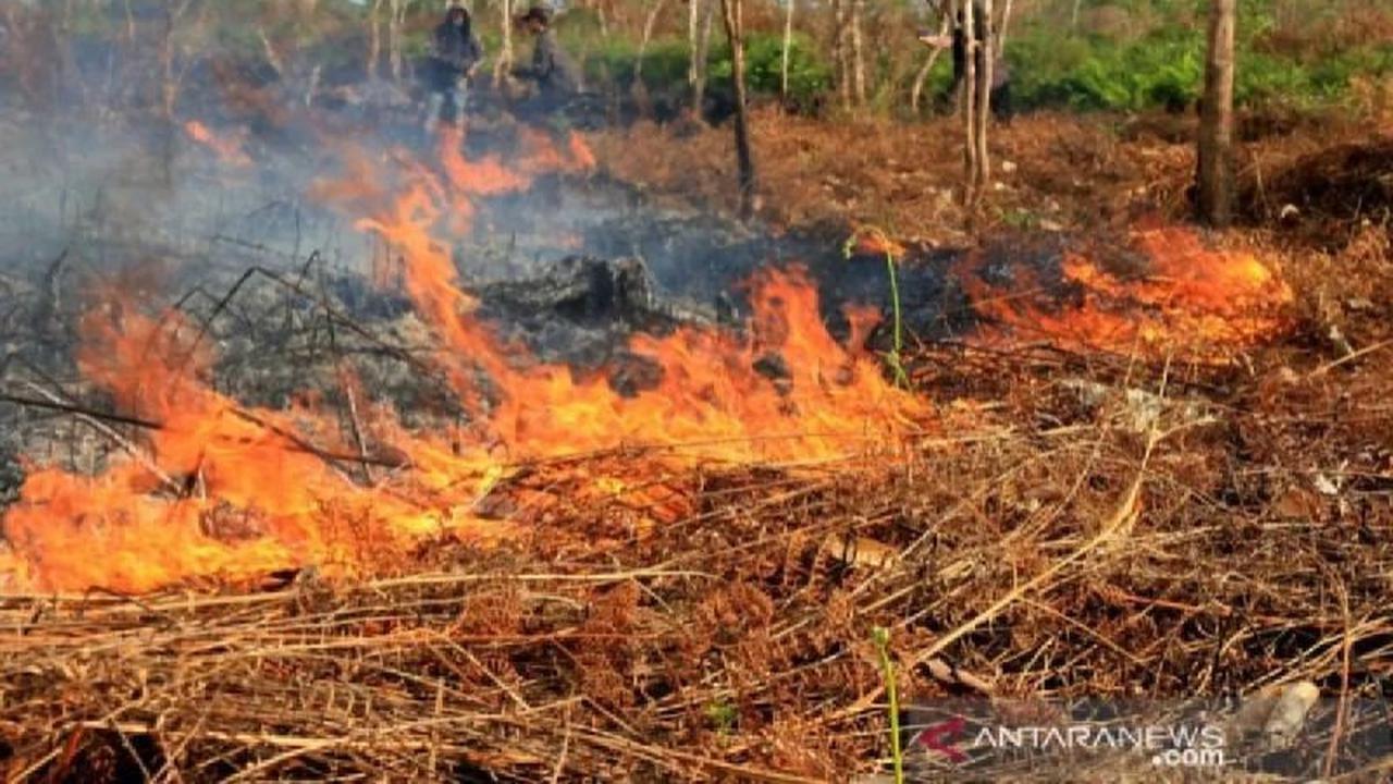 Bukan Banjir Berat, Aceh Diprediksi Kekeringan Hingga 2026: BPBA Tekankan Kesiapsiagaan Bencana Hidrometeorologi dari Desa