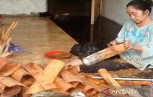 Kemenkum Kalsel Optimalkan Pengembangan Kayu Manis Loksado, Perkuat Identitas Geografis dan Perluasan Pasar