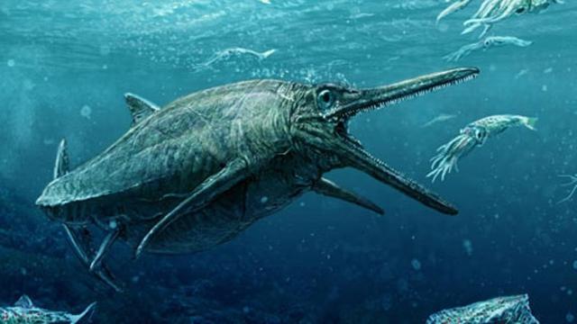 Fakta Baru Lumba Lumba Masa Dinosaurus  Monster Laut  