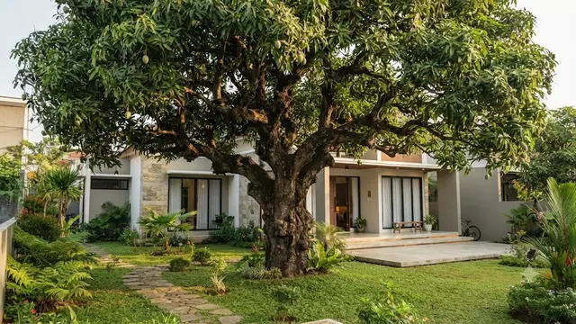 Pohon yang Sebaiknya Tidak Ditanam di Depan Rumah