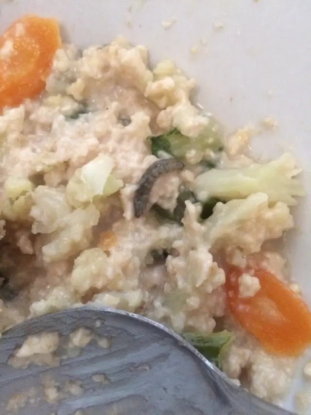 7 Potret Hewan Aneh Terselip di Makanan, Bikin Jijik