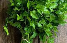 Praktis! ini Cara Merebus Daun Seledri untuk Menjaga Kadar Kolesterol Normal