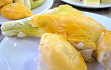 Cara Aman Mengonsumsi Durian untuk Menjaga Kolesterol, Harus Dicoba
