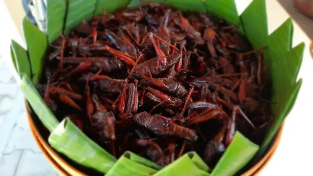 Serangga goreng