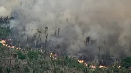 Pada hari Selasa, konsentrasi mikropartikel penyebab kanker yang dikenal sebagai PM2.5 mencapai 56,5 mikrogram per meter kubik udara di Porto Velho. (EVARISTO SA / AFP)