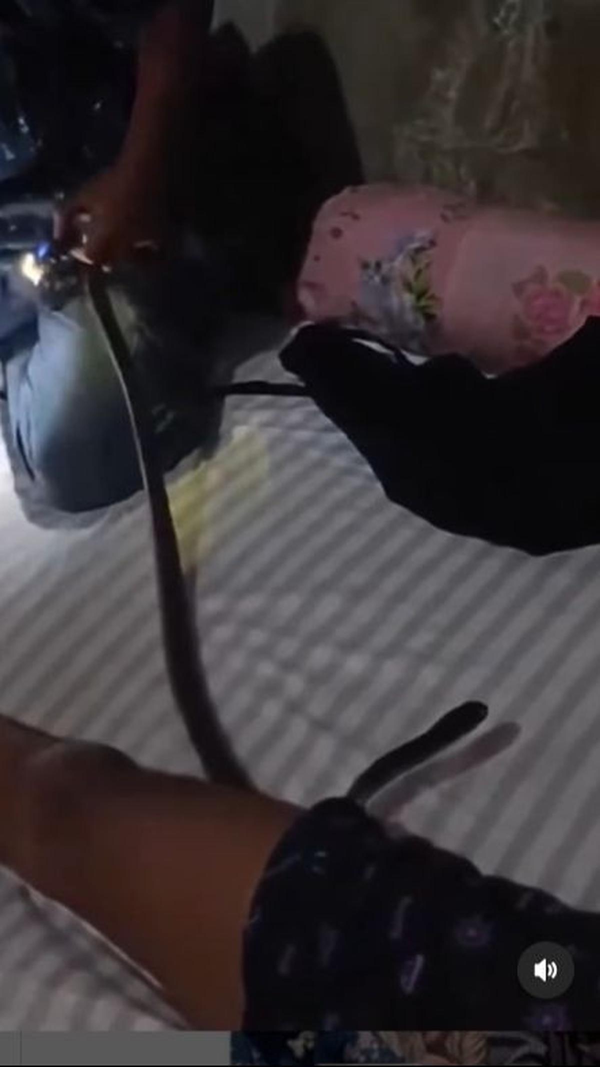 Tidak diketahui pasti bagaimana akhirnya dia tersadar dan mengetahui ular itu masuk ke dalam celananya.