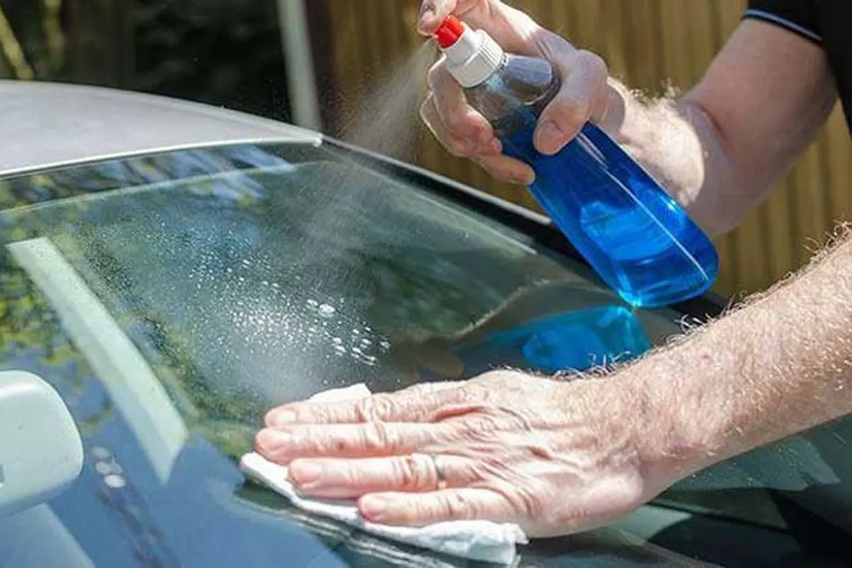Penggunaan rain repellent untuk memberikan efek daun talas