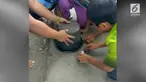 Sekelompok anak malah berebut kotoran kerbau ketika bermain tebak-tebakan, Bagaimana bisa? Simak video berikut ini.