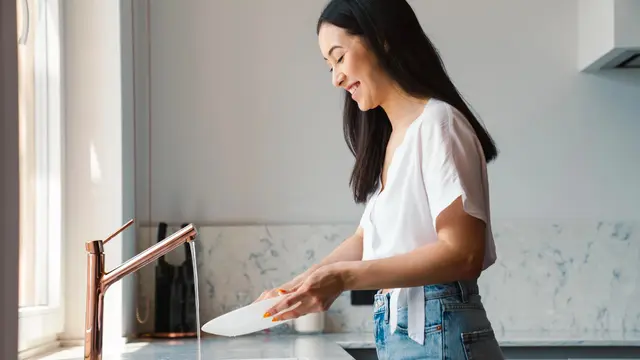 ilustrasi ibu rumah tangga