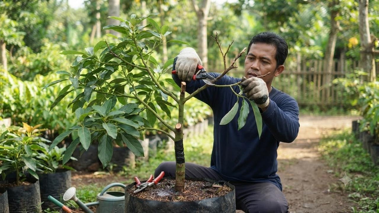 Pangkas Cabang yang Rusak agar Tajuk Lebih Seimbang (AI Generated)