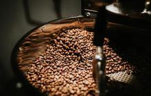 Kopi Indonesia Masuk Daftar Kopi Terbaik Dunia, Peringkat Teratas di Asia