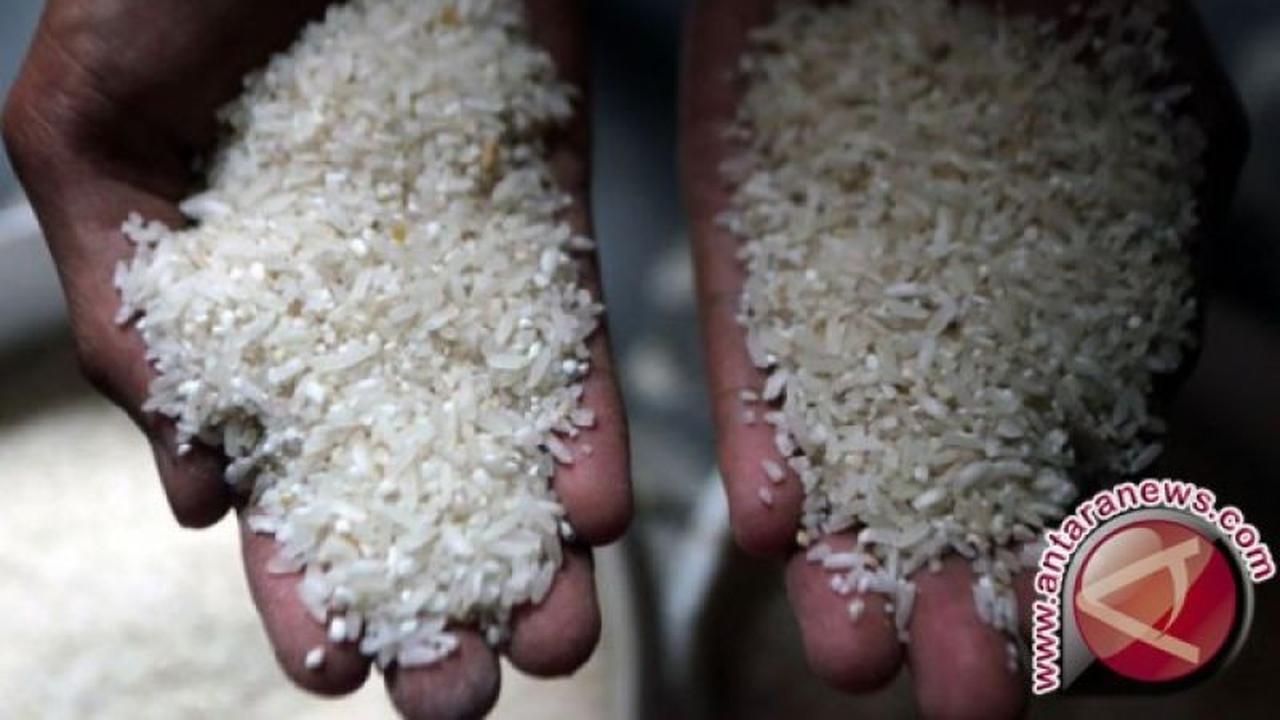 Gudang Beras Ilegal 250 Ton di Sabang Disegel, Menteri Pertanian Tegas Ambil Tindakan
