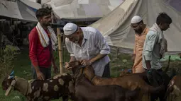 Seorang pria memeriksa gigi kambing untuk menentukan usianya di pasar ternak menjelang Idul Adha di New Delhi, India, Selasa, 5 Juli 2022. Pasar di kawasan tersebut menyediakan kambing dengan berbagai ukuran untuk kurban. (AP Photo/Altaf Qadri)